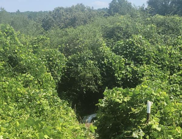 赶上新闻并参加小测试：在阿拉巴马州