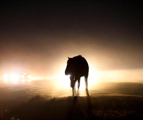 玩家必看教程“微乐广西麻将有挂的吗!详细分享装挂步骤 玩家必看教程“微乐广西麻将有挂的吗!详细分享装挂步骤