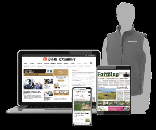 Tipperary startup Zerve raises 3.5m in funding led by Elkstone