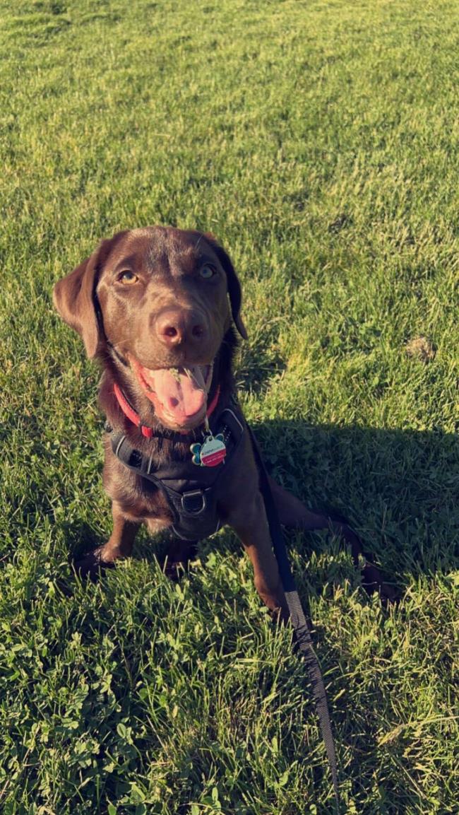 辅助神器“微乐山西麻将开挂教程”详细开挂玩法 辅助神器“微乐山西麻将开挂教程”详细开挂玩法