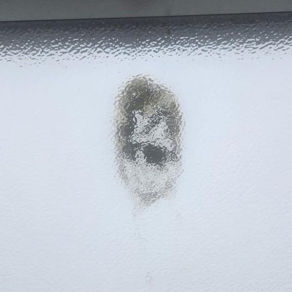 一名女子发现埃尔顿·约翰爵士戴着他著名的眼镜,厕所窗户上溅满了鸟粪 一名女子发现埃尔顿·约翰爵士戴着他著名的眼镜,厕所窗户上溅满了鸟粪