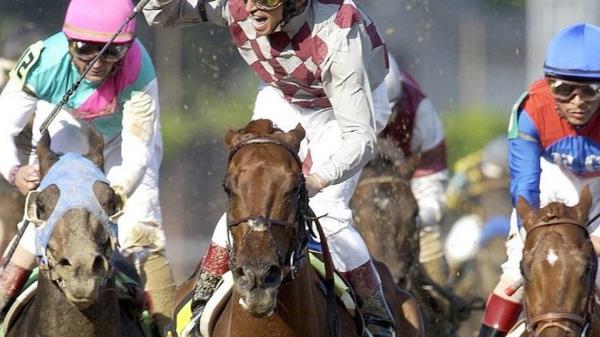 肯塔基赛马,普瑞克尼斯冠军滑稽赛德去世,享年23岁 肯塔基赛马,普瑞克尼斯冠军滑稽赛德去世,享年23岁