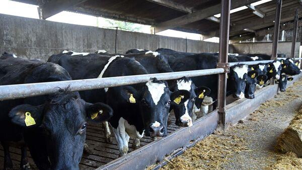 宝拉·海因斯:风暴巴伯特增加了工作量 宝拉·海因斯:风暴巴伯特增加了工作量