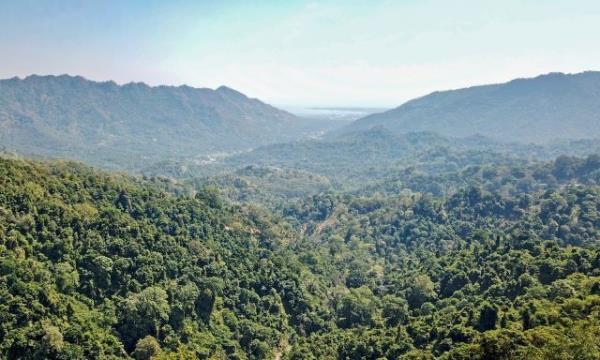 推荐一款“微乐吉林麻将免费开挂神器!详细分享装挂步骤