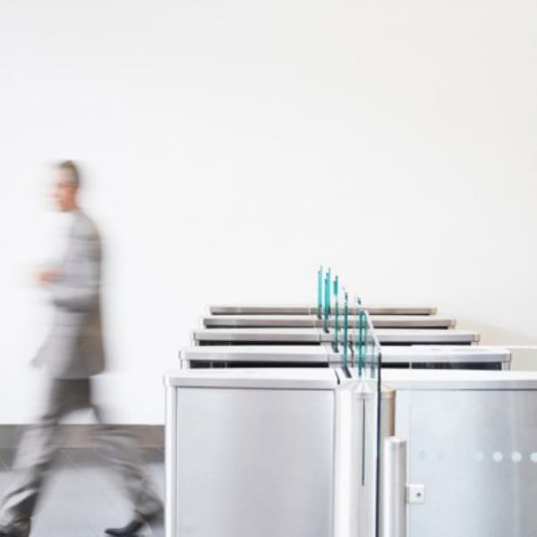 在拉贾斯坦邦，卡特里娜·凯夫和维姬·考沙尔在阳光下度过了新年假期图片：