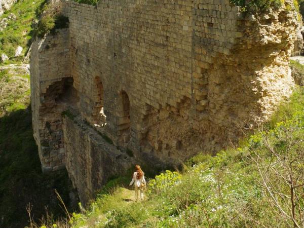 手球:阿拉比和杜海尔将在阿米尔杯决赛中相遇 手球:阿拉比和杜海尔将在阿米尔杯决赛中相遇