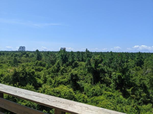 可用版本“聚游广东麻将有挂吗”其实确实有挂 可用版本“聚游广东麻将有挂吗”其实确实有挂