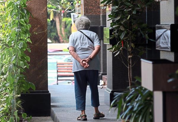 落实对老年人的照顾