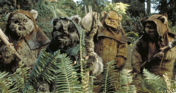 Will Ewoks Return in the Han Solo Movie?