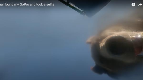 今日教程“杭州都莱辅助器!详细分享装挂步骤