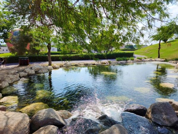 1分钟学会“长虹大厅有挂吗”详细开挂玩法 1分钟学会“长虹大厅有挂吗”详细开挂玩法