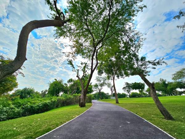 玩家辅助神器：“微乐龙江麻将开挂教程!详细分享装挂步骤