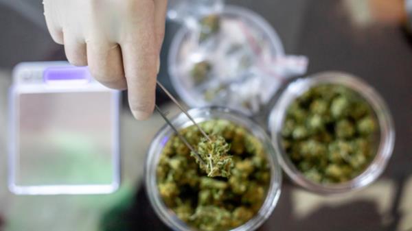 教程辅助!“粤东百乐汇透视”详细开挂玩法