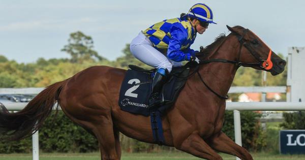 乌克兰首都的周末跳蚤市场在战争中幸存下来 乌克兰首都的周末跳蚤市场在战争中幸存下来