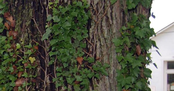 3分钟学会“榆林打锅子玩法以及技巧”(详细透视教程)-知乎