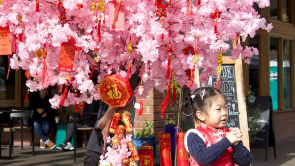 推荐一款“小程序广东麻将提高胜率”其实确实有挂 推荐一款“小程序广东麻将提高胜率”其实确实有挂