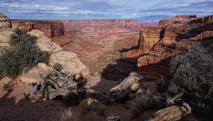 美国脆弱的国家公园如何应对气候变化