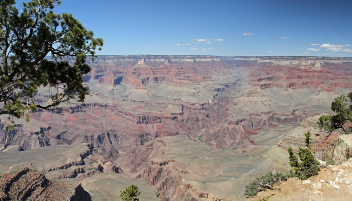 玩家辅助神器：“经典罗松怎么买挂”分享用挂教程