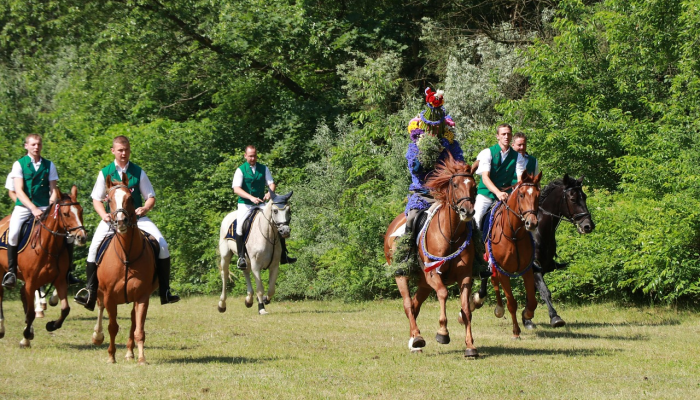 与马西亚有关的设施被摧毁