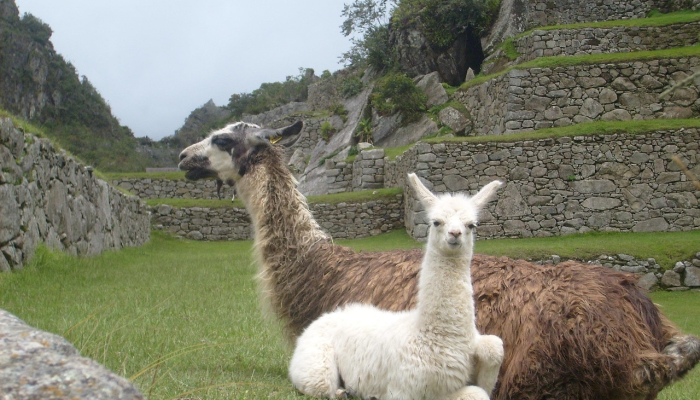 最新教你“凯发K8天生赢家一触即发”其实确实有挂 最新教你“凯发K8天生赢家一触即发”其实确实有挂