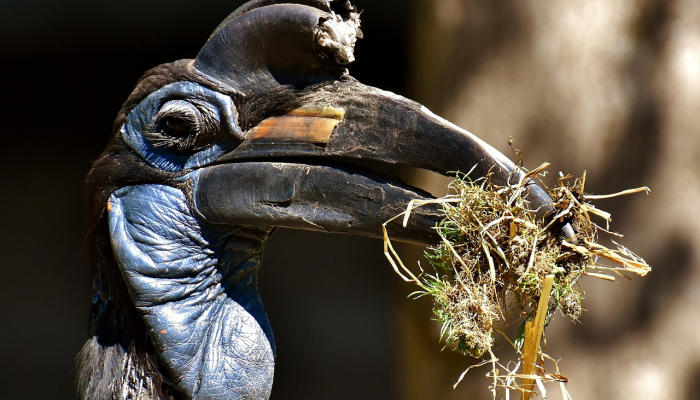 可用版本“欢喜广西麻将开挂后付款”分享用挂教程 可用版本“欢喜广西麻将开挂后付款”分享用挂教程