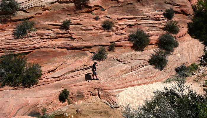 玩家必看教程“新青鸟拼三张开挂”(原来确实是有挂) 玩家必看教程“新青鸟拼三张开挂”(原来确实是有挂)