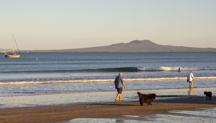 阿卜杜勒·瓦哈卜的律师说,这取决于警方能否透露“H先生”的身份 阿卜杜勒·瓦哈卜的律师说,这取决于警方能否透露“H先生”的身份