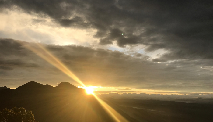 玩家辅助神器:“微乐麻将小程序必赢神器免费安装”(曝光透视必备猫腻) 玩家辅助神器:“微乐麻将小程序必赢神器免费安装”(曝光透视必备猫腻)