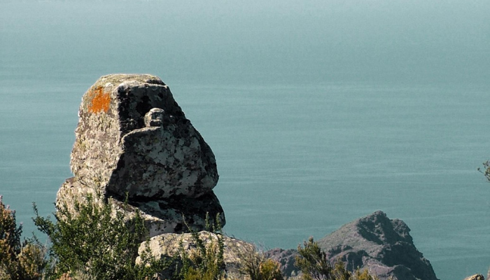 玩家辅助神器：“新蓝鲸怎么开挂教程”分享用挂教程