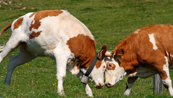 尽管哈里和梅根已经从王室网站上删除了，但他们仍然可以使用HRH头衔