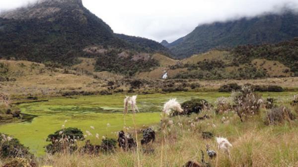 足球：恩里克希望巴黎圣日耳曼有三个姆巴佩