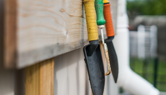 本·西蒙斯在布鲁克林篮网队的季前赛中恢复了全面训练