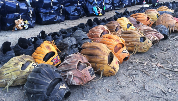 澳大利亚塔斯马尼亚州印度裔学生遇袭;目前处于昏迷状态