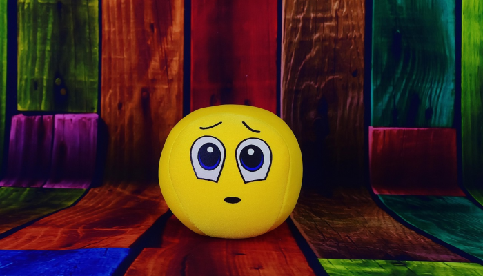 11条毒蛇从“Habu House”中逃脱，让当地人感到恐惧