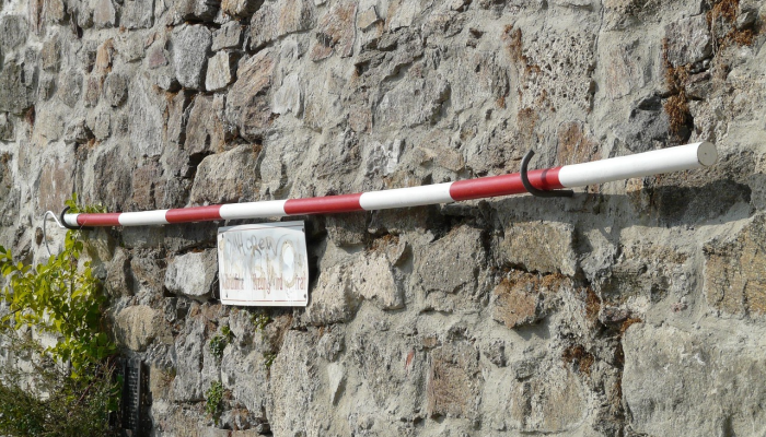 最新教你“新九哥大厅有挂吗”(曝光透视必备猫腻)