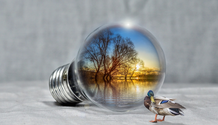 在印度凉爽的地方用23种有趣的方式告别2023年 在印度凉爽的地方用23种有趣的方式告别2023年