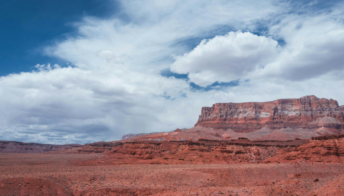 干旱给该国最大的棉花生产商造成损失