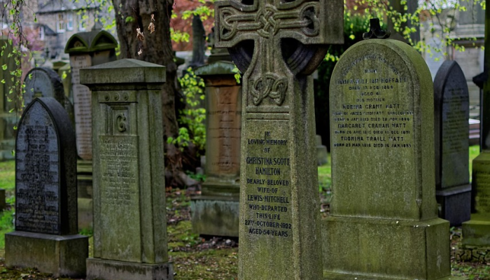 辅助神器“乐酷副厅挂在哪买”详细开挂玩法 辅助神器“乐酷副厅挂在哪买”详细开挂玩法