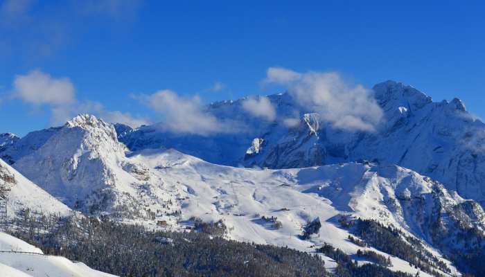 玩家辅助神器：“天天福建十三张有挂吗”(原来确实是有挂)
