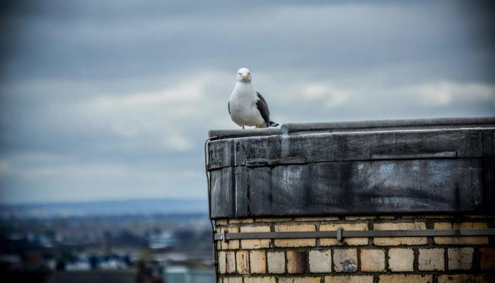 玩家必看教程“授权二厅有挂吗!详细分享装挂步骤 玩家必看教程“授权二厅有挂吗!详细分享装挂步骤