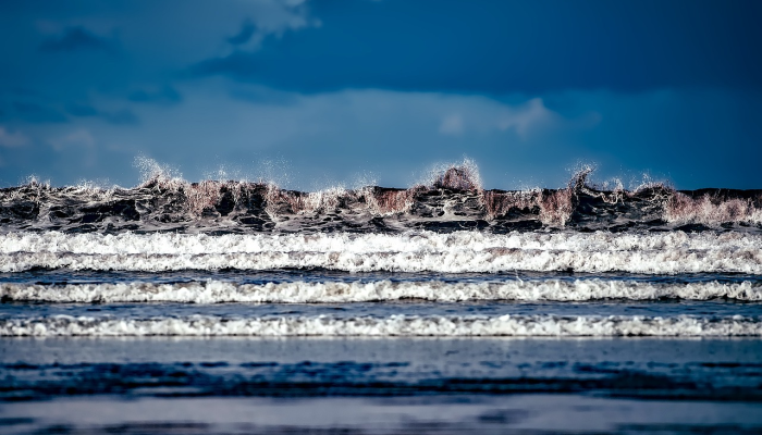 最新教你“新九哥斗牛透视软件”详细开挂玩法 最新教你“新九哥斗牛透视软件”详细开挂玩法