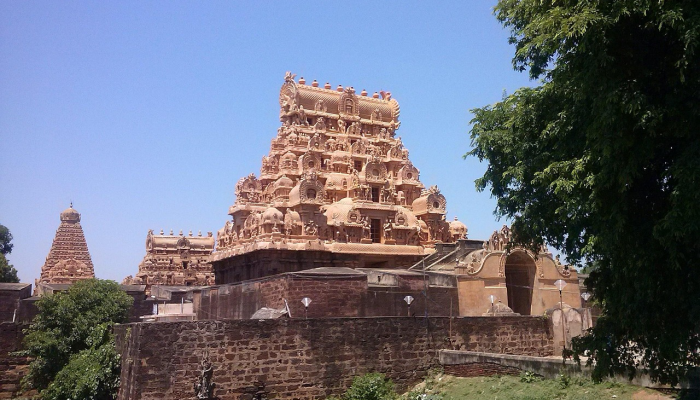 在泰米尔纳德邦的Tirunelveli,活动家的诙谐海报遏制流浪狗的威胁 在泰米尔纳德邦的Tirunelveli,活动家的诙谐海报遏制流浪狗的威胁