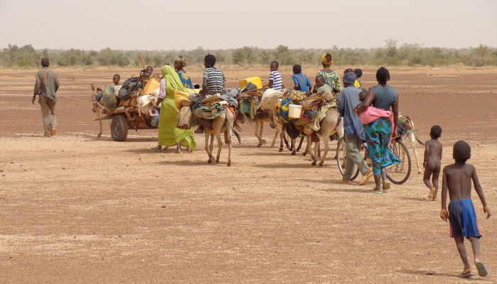 玩家必看教程“天天麻将川南怎么开挂”(详细透视教程)-知乎