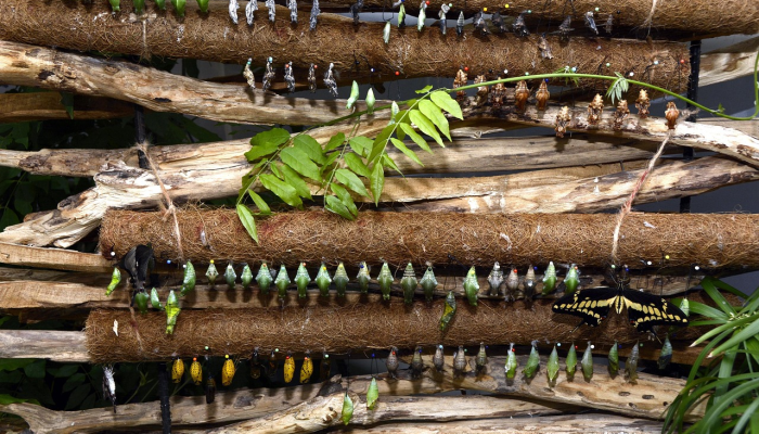 强力推荐“微乐跑得快如何让系统发好牌”(确实是有挂)-知乎