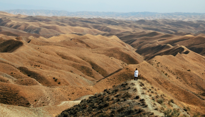 在夏洛特的带领下,塞尔日·甘斯布的家终于开门了 在夏洛特的带领下,塞尔日·甘斯布的家终于开门了