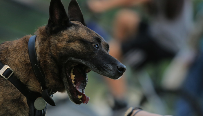 辅助神器“微乐陕西麻将有没有规律”详细开挂玩法 辅助神器“微乐陕西麻将有没有规律”详细开挂玩法