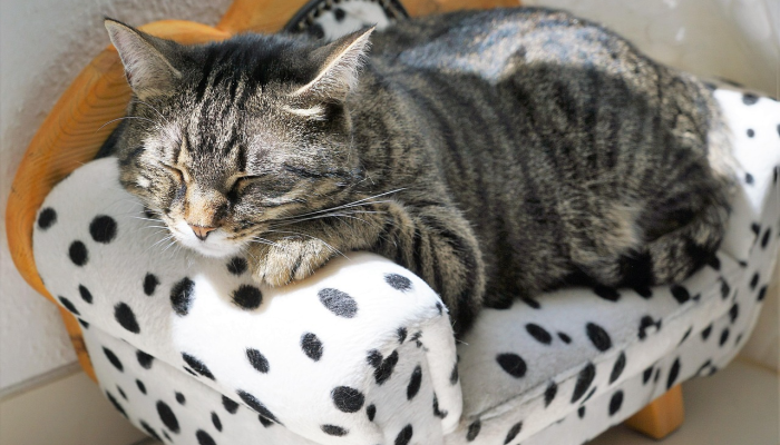 北韩正在讨论改善地区经济的后续措施