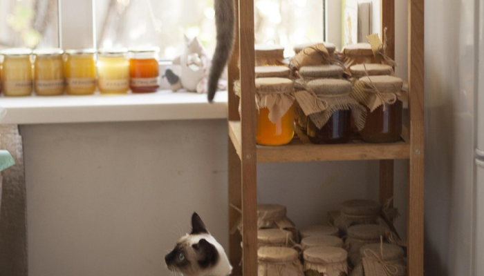 杰西·詹姆斯·德克尔透露了她的丈夫在她怀孕期间是如何照顾她的