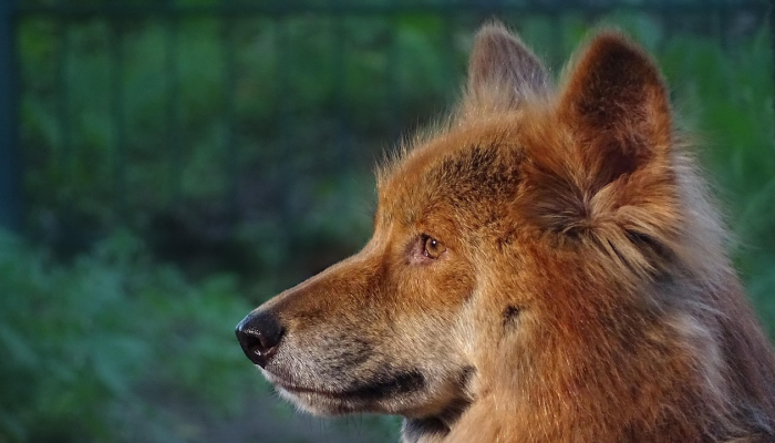 北韩正在讨论改善地区经济的后续措施