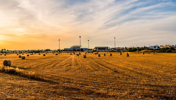 卡纳塔克邦政府将500所农村学校的土地分配给私营公司;公司承诺为企业社会责任基金提供190亿卢比 卡纳塔克邦政府将500所农村学校的土地分配给私营公司;公司承诺为企业社会责任基金提供190亿卢比